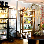 Plants: image 4 0f 4 thumb