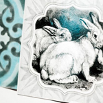 Plants: image 4 0f 4 thumb